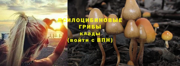 гидропоника Верея