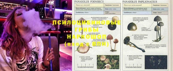 гидропоника Верея