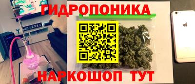 прущие крисы Бийск