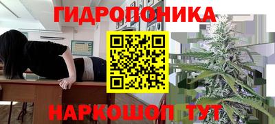 ГАЛЛЮЦИНОГЕННЫЕ ГРИБЫ Берёзовский