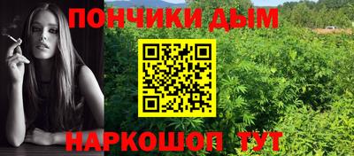 ГАЛЛЮЦИНОГЕННЫЕ ГРИБЫ Берёзовский