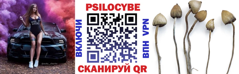 Псилоцибиновые грибы Psilocybe  Вятские Поляны 
