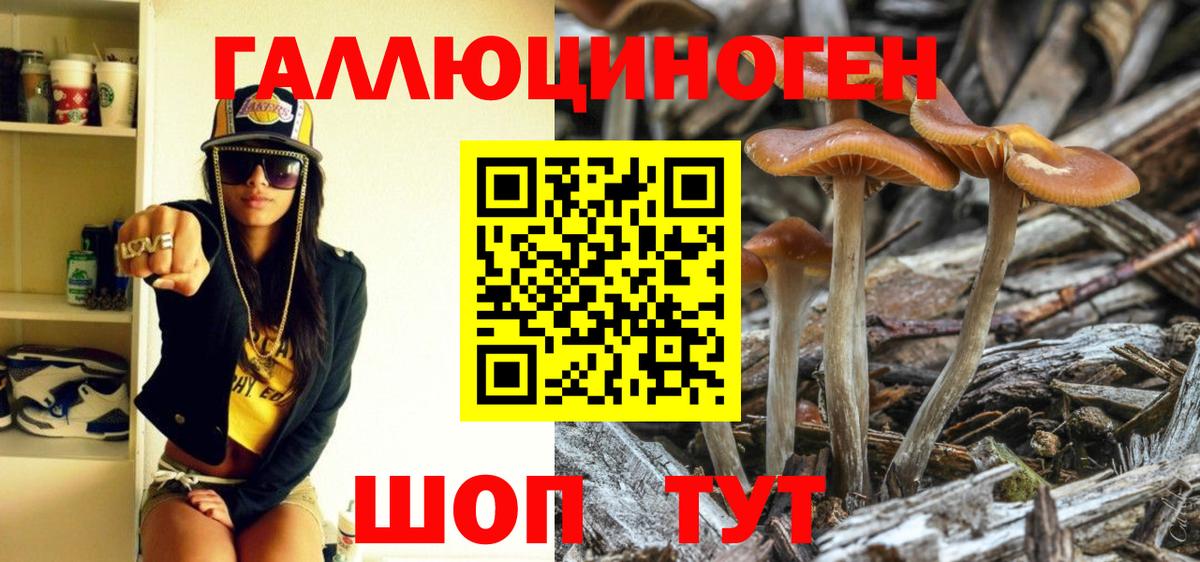 Псилоцибиновые грибы GOLDEN TEACHER Вятские Поляны
