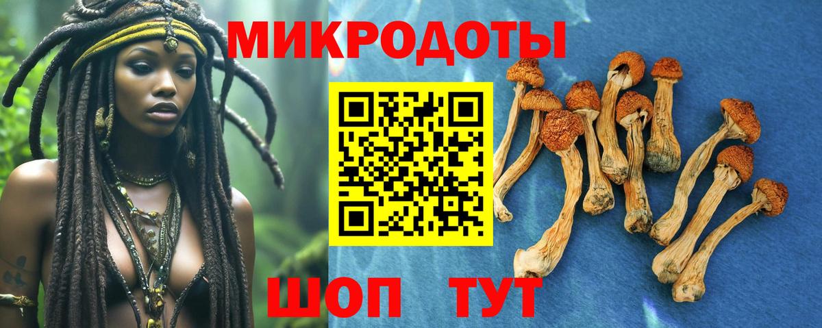купить наркоту  Вятские Поляны  Псилоцибиновые грибы Psilocybe  Псилоцибиновые грибы ЛСД 